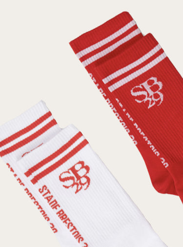 Lot de 2 paires de chaussettes