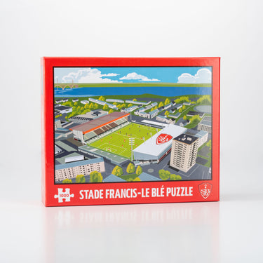 Puzzle 1 000 pièces Stade